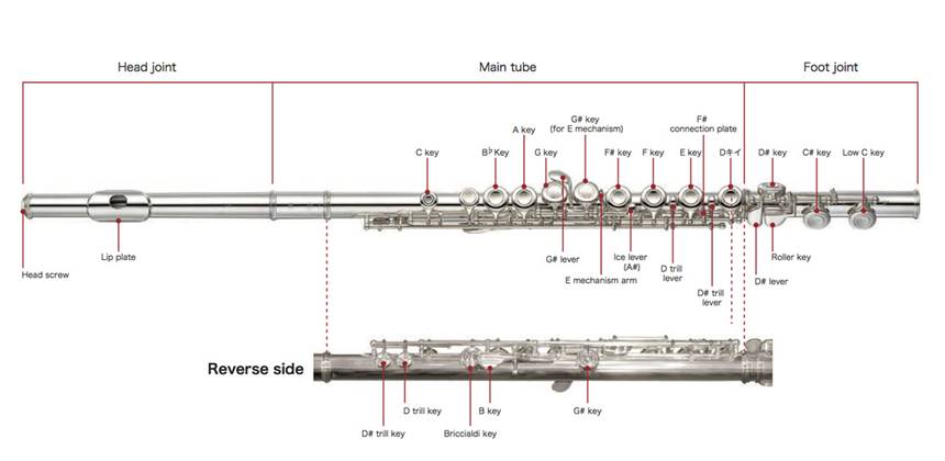 Diagram: Flute Key Names - Flutecentric : The Flute Player's Handbook